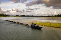 Boat Train